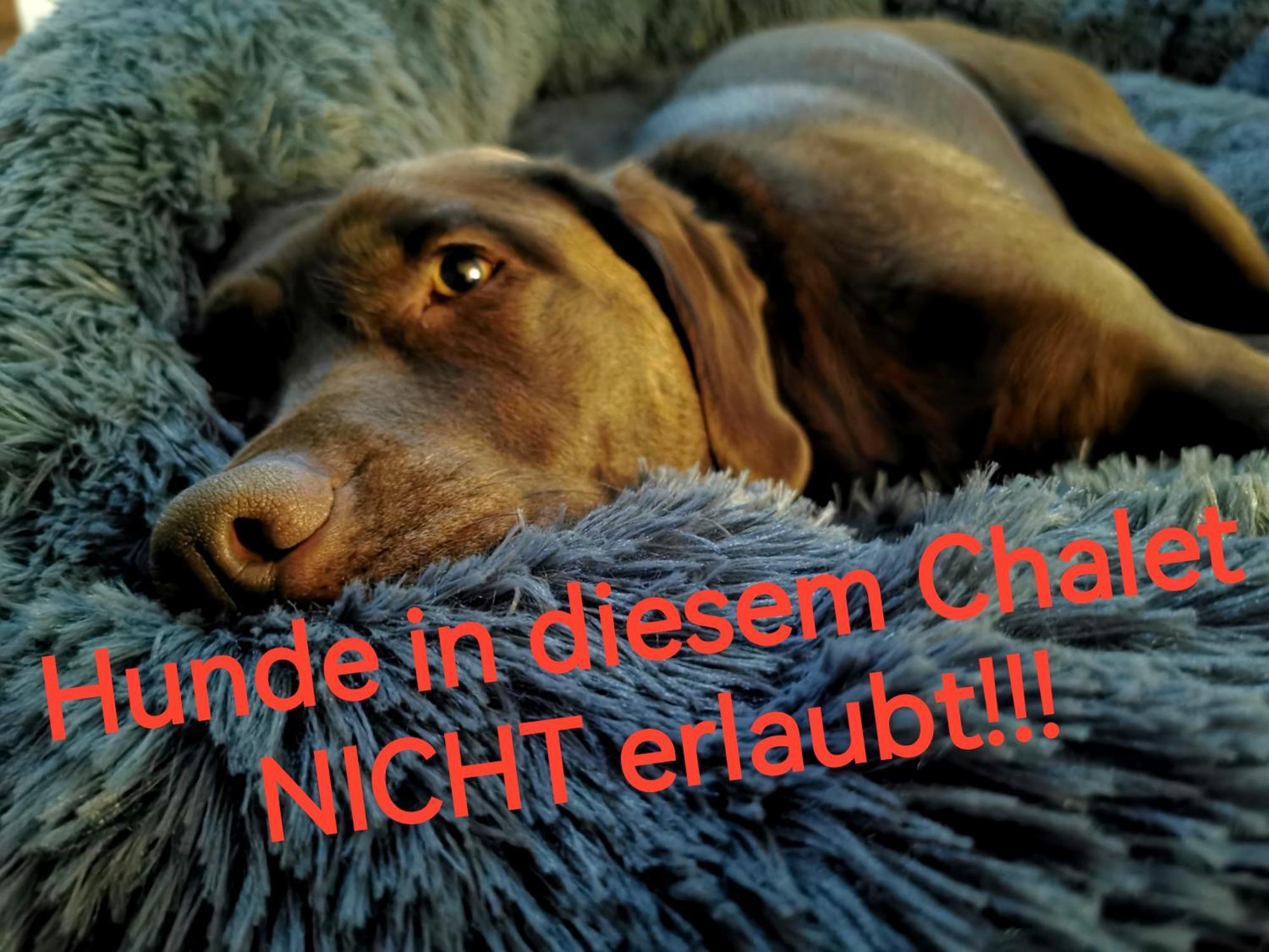 Blockhausen Luxus Chalets Oberschwarzenberg Экстерьер фото